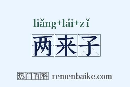 两来子是什么意思的图片